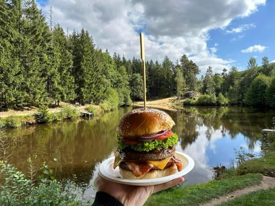 Lesní chaty Hogo Fogo Kytlice Exteriér fotografie