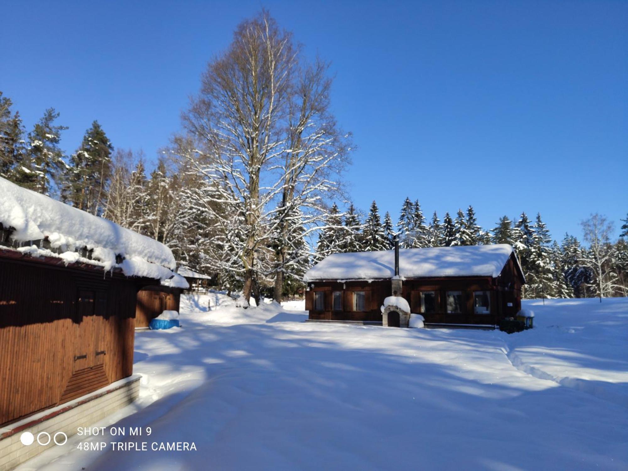 Lesní chaty Hogo Fogo Kytlice Exteriér fotografie
