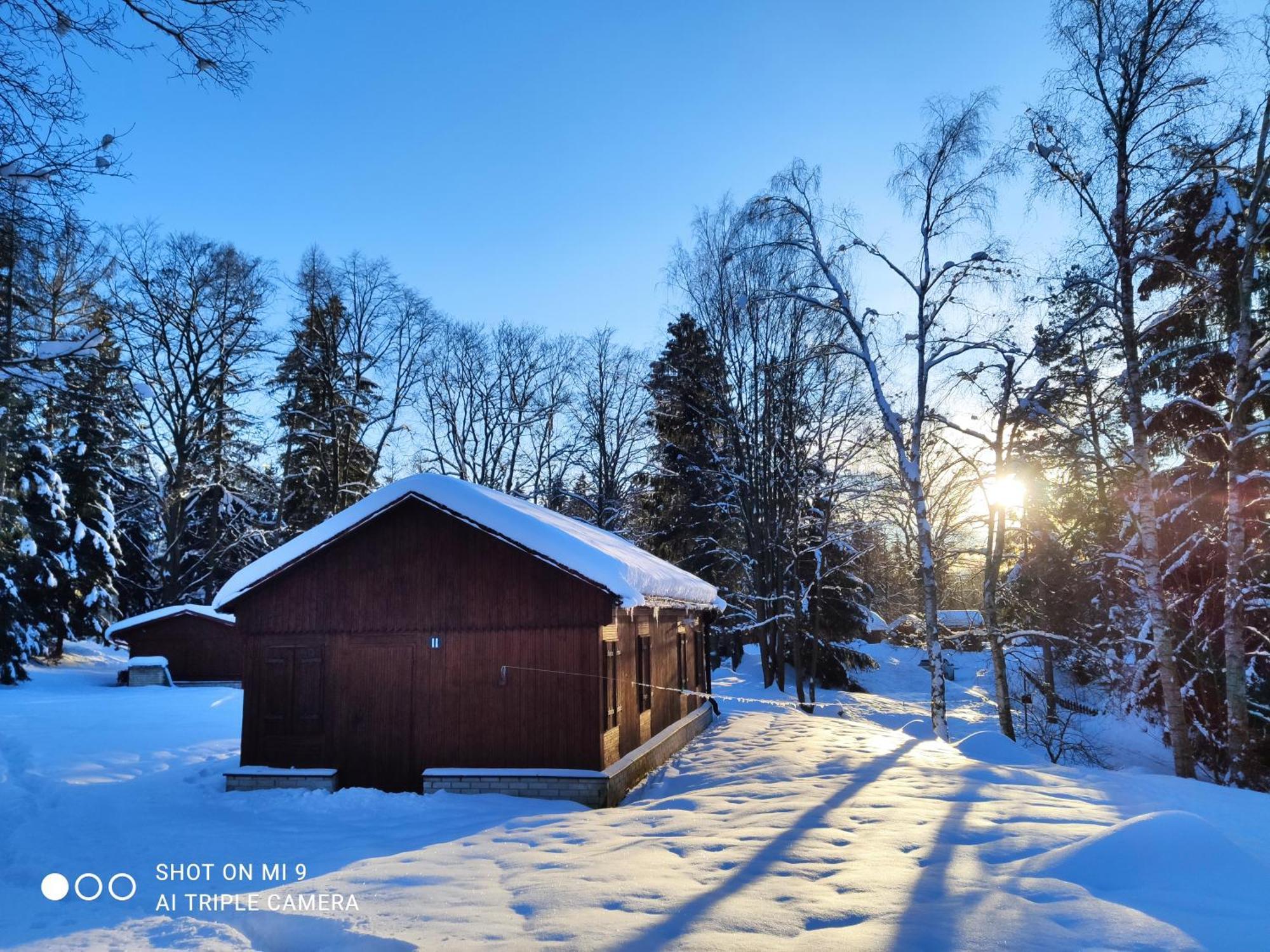 Lesní chaty Hogo Fogo Kytlice Exteriér fotografie