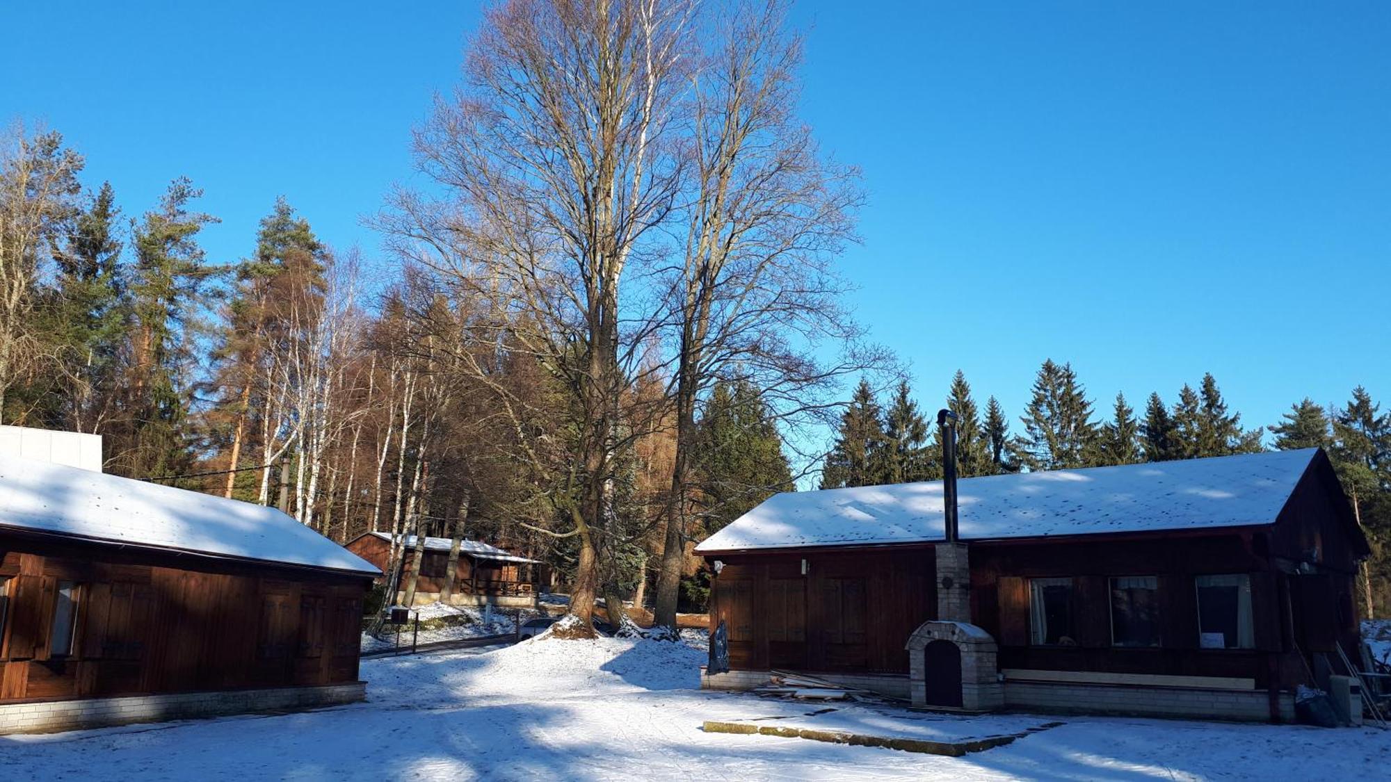 Lesní chaty Hogo Fogo Kytlice Exteriér fotografie