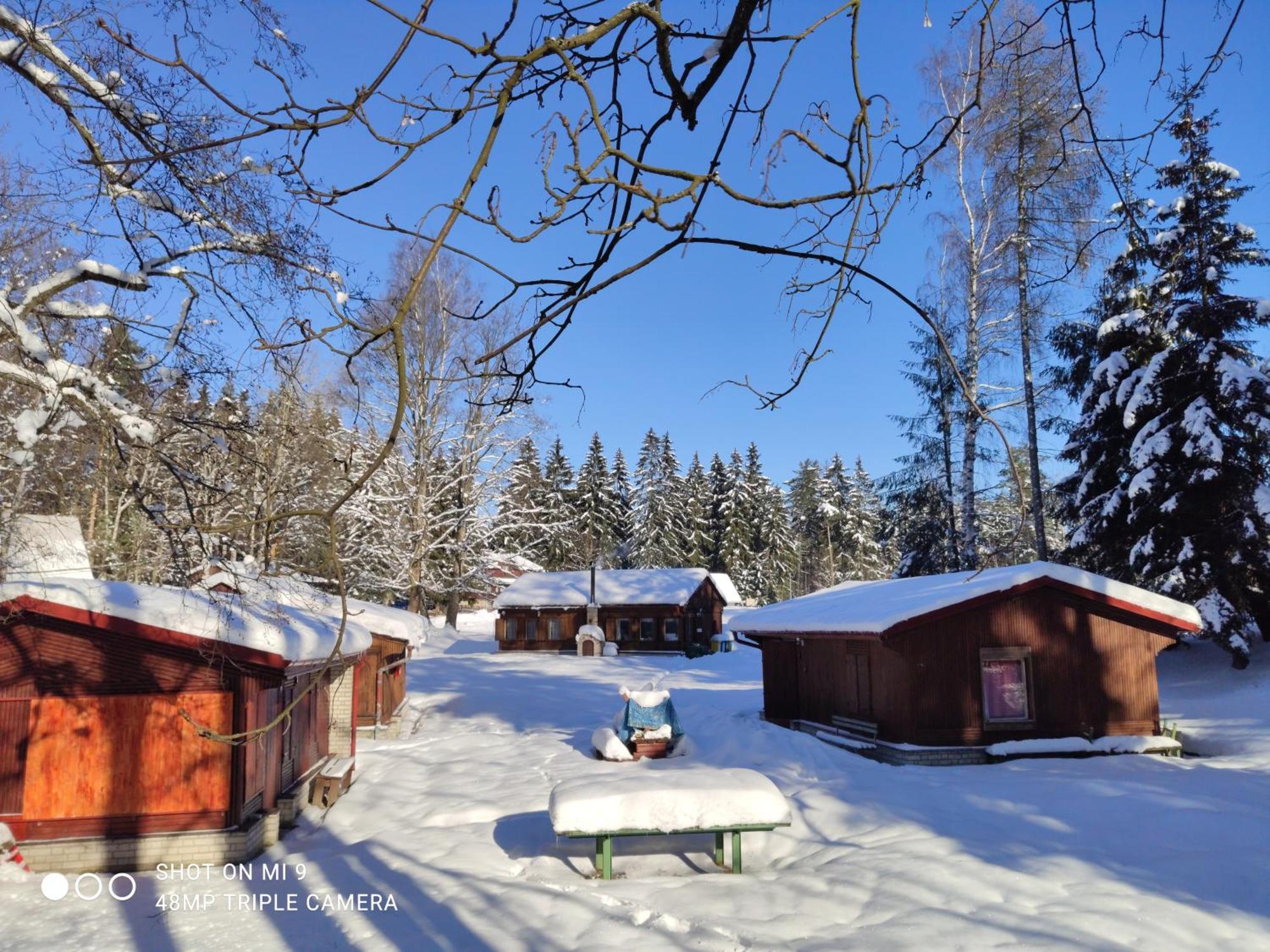 Lesní chaty Hogo Fogo Kytlice Exteriér fotografie