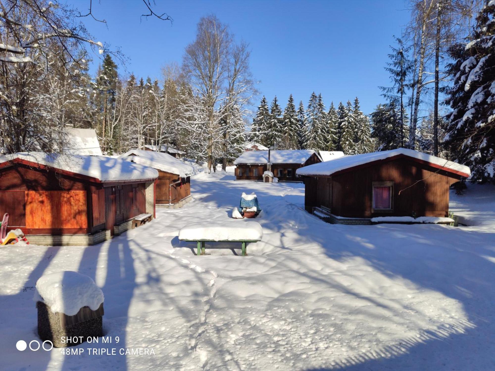 Lesní chaty Hogo Fogo Kytlice Exteriér fotografie