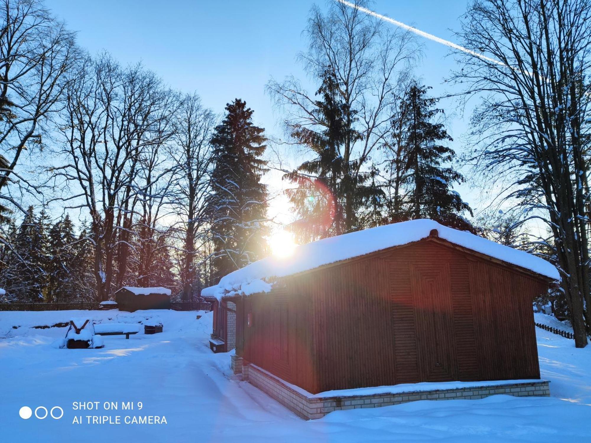 Lesní chaty Hogo Fogo Kytlice Exteriér fotografie