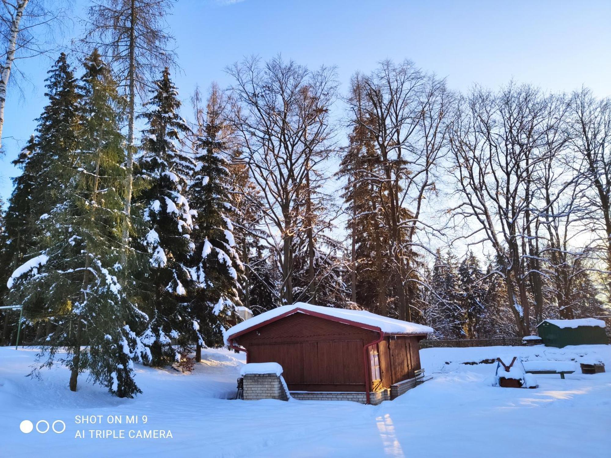 Lesní chaty Hogo Fogo Kytlice Exteriér fotografie
