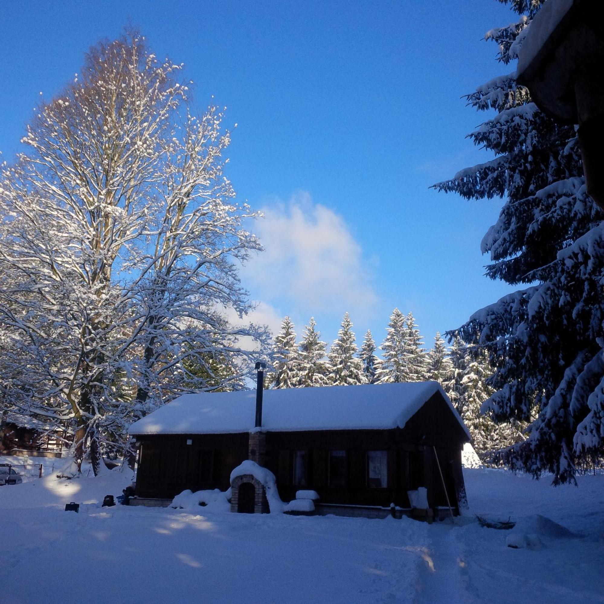 Lesní chaty Hogo Fogo Kytlice Exteriér fotografie