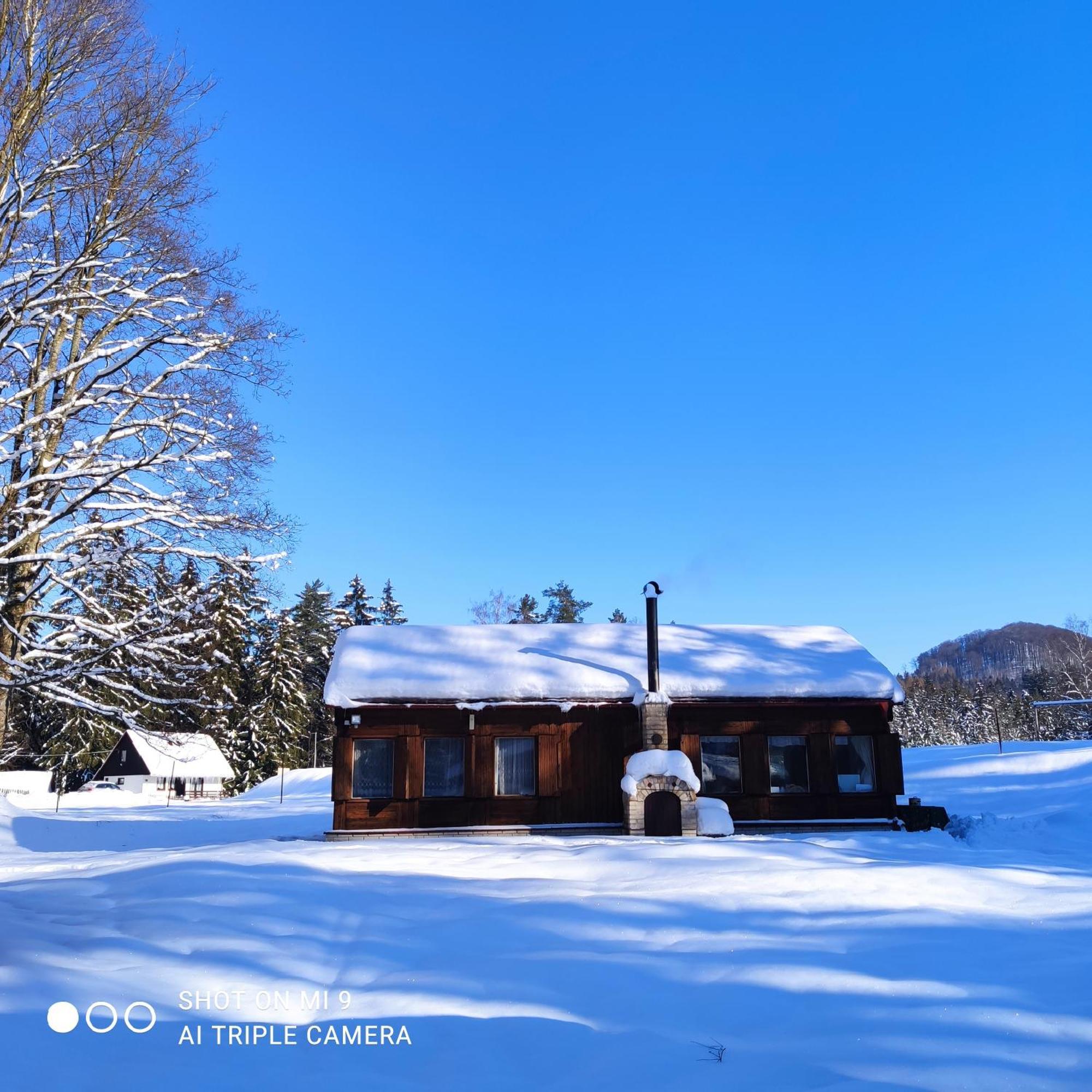 Lesní chaty Hogo Fogo Kytlice Exteriér fotografie