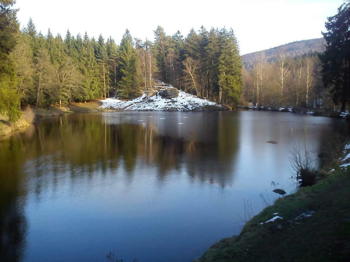Lesní chaty Hogo Fogo Kytlice Exteriér fotografie